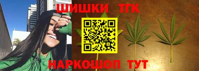 стаф Краснодар