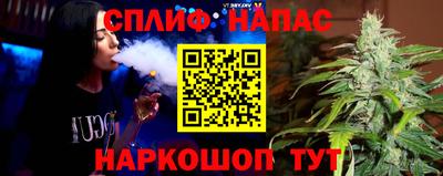 стаф Краснодар