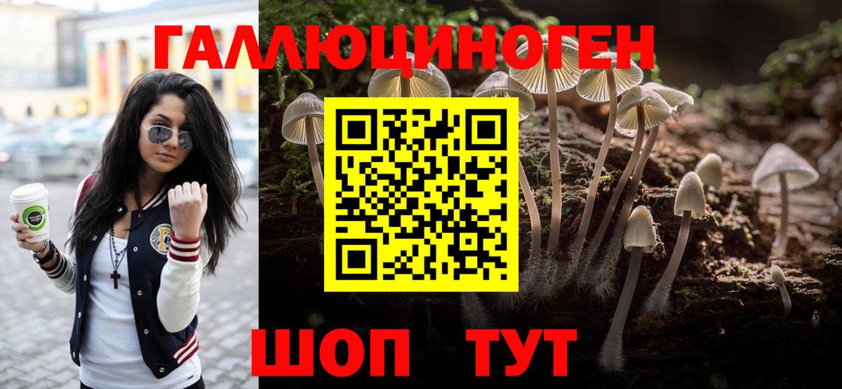 Псилоцибиновые грибы ЛСД Калач-на-Дону